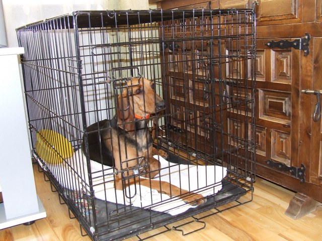 DSCF2085.JPG