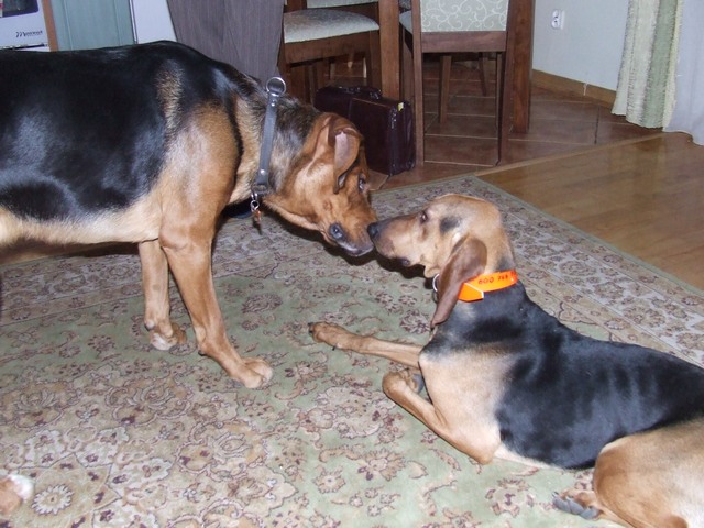 DSCF2088.JPG