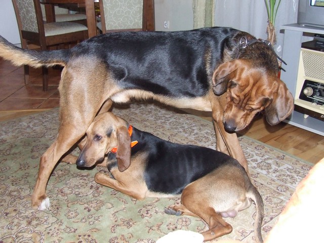 DSCF2091.JPG