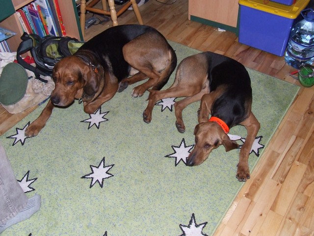 DSCF2092.JPG