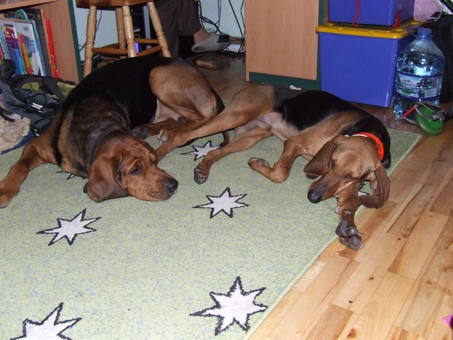 DSCF2094.JPG
