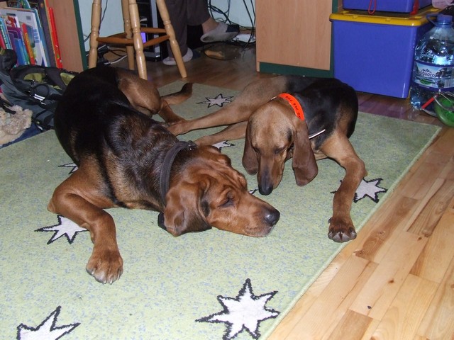 DSCF2098.JPG