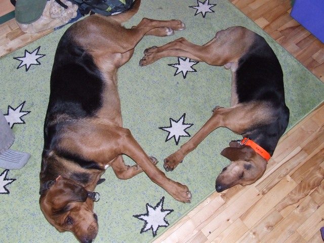 DSCF2101.JPG