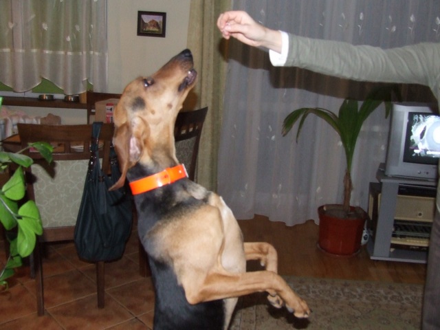 DSCF2103.JPG