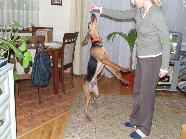 DSCF2104.JPG