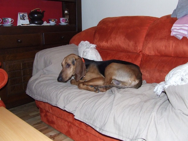 DSCF2107.JPG