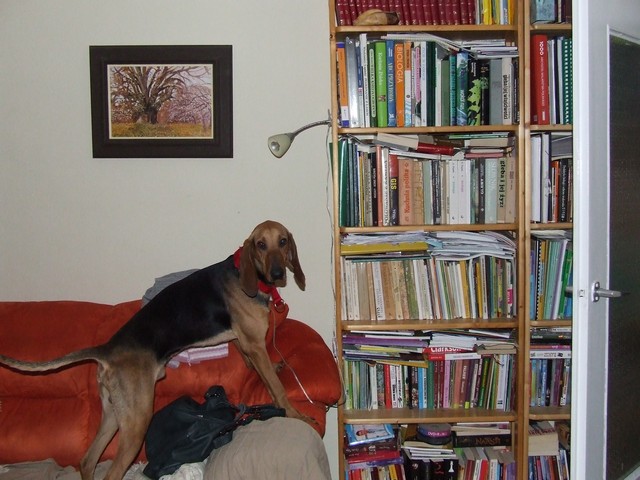 DSCF2109.JPG