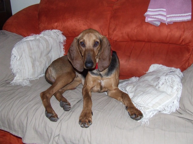 DSCF2110.JPG