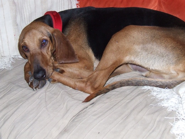 DSCF2112.JPG