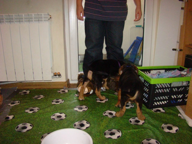 DSC06557.JPG