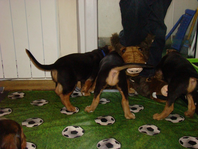 DSC06558.JPG