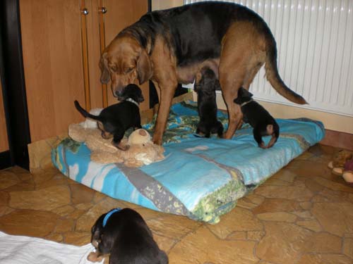 miot S z Monią 26 dzień.jpg