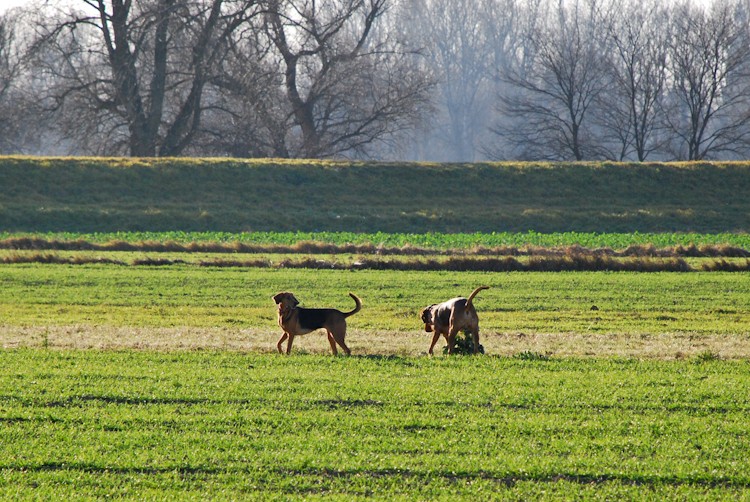dz-calveciki (5 of 83).jpg