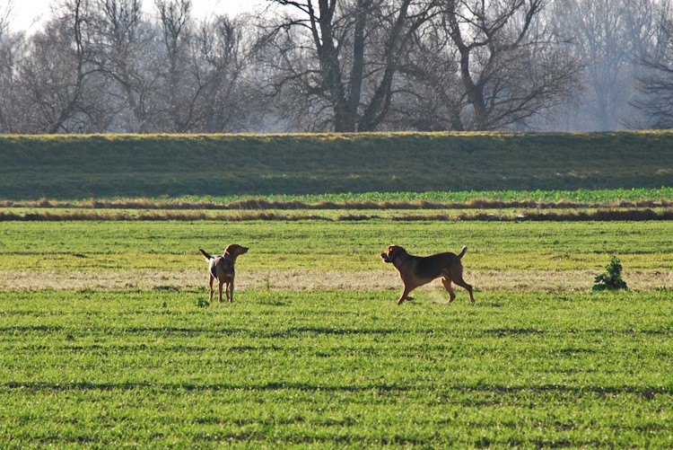 dz-calveciki (7 of 83).jpg