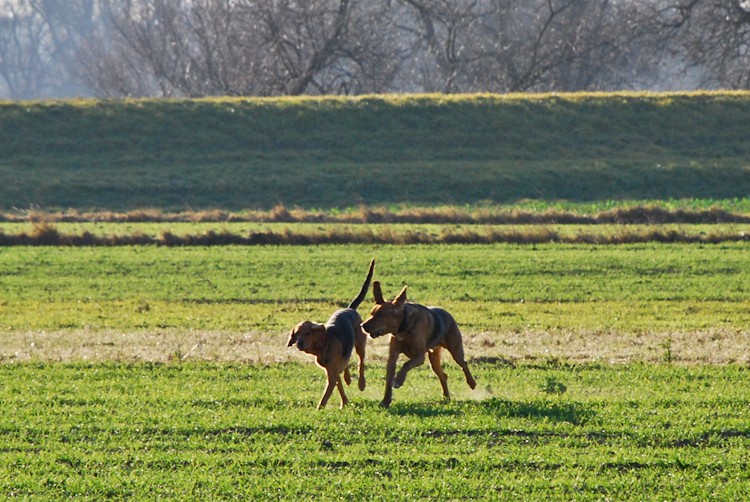 dz-calveciki (10 of 83).jpg