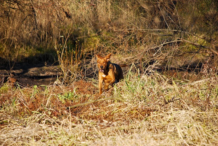 dz-calveciki (33 of 83).jpg