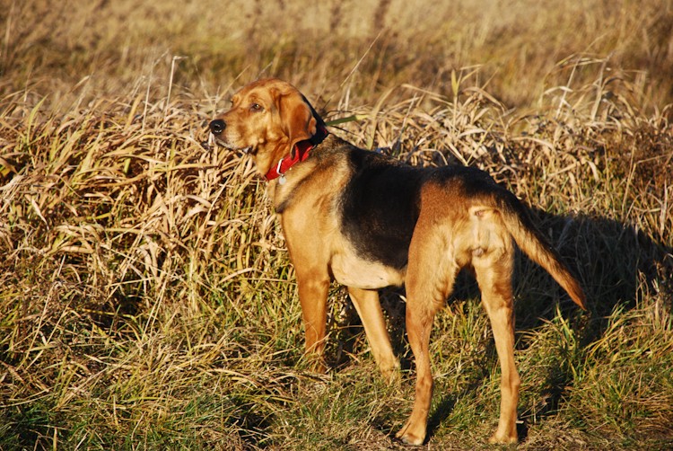 dz-calveciki (71 of 83).jpg