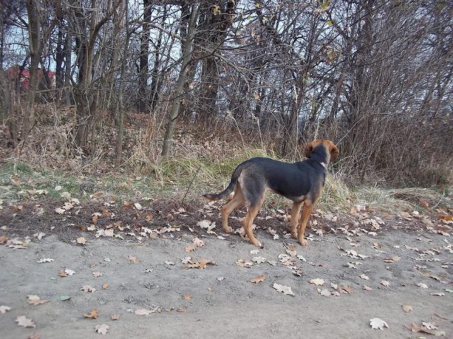 100_1224m.JPG