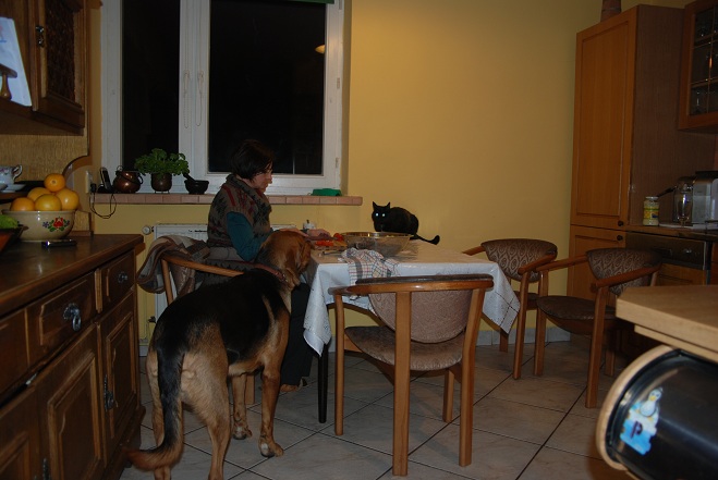 DSC_1198.JPG