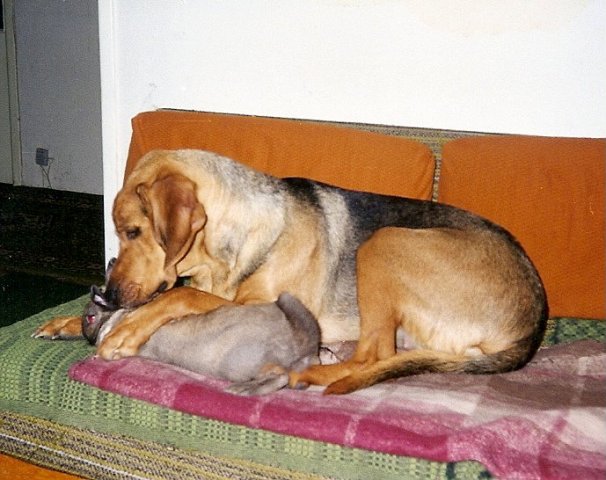 ScannedImage-23.jpg