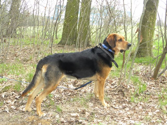Obraz 033.jpg