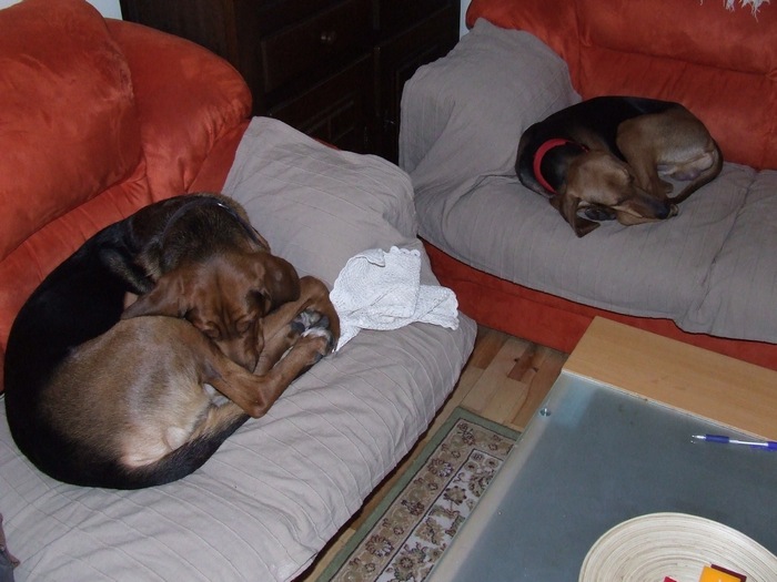 DSCF2139.JPG
