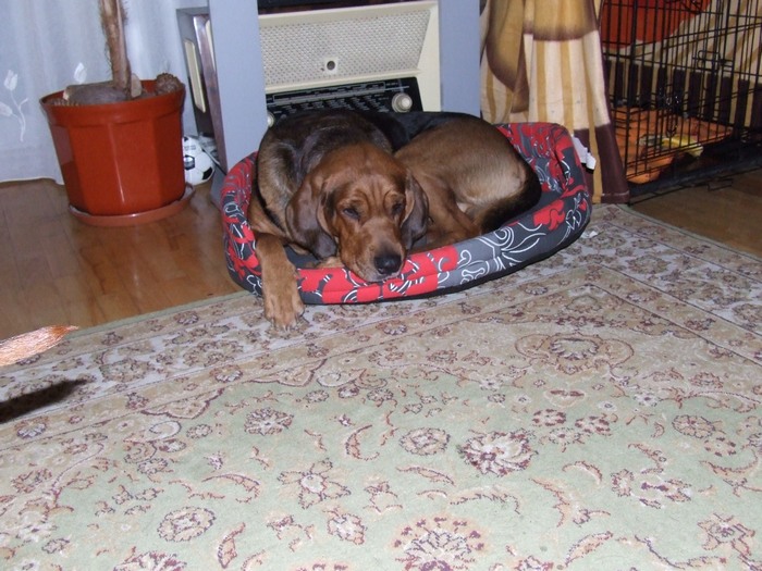 DSCF2201.JPG