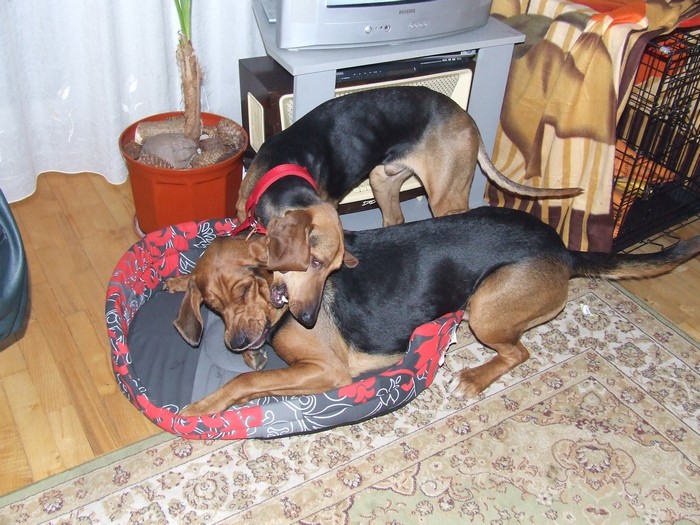 DSCF2202.JPG