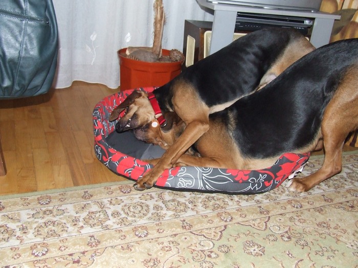 DSCF2204.JPG