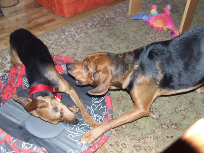 DSCF2212.JPG