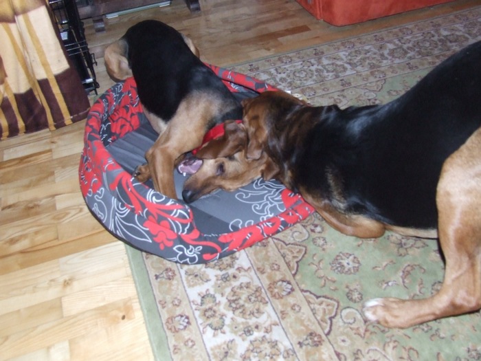 DSCF2214.JPG