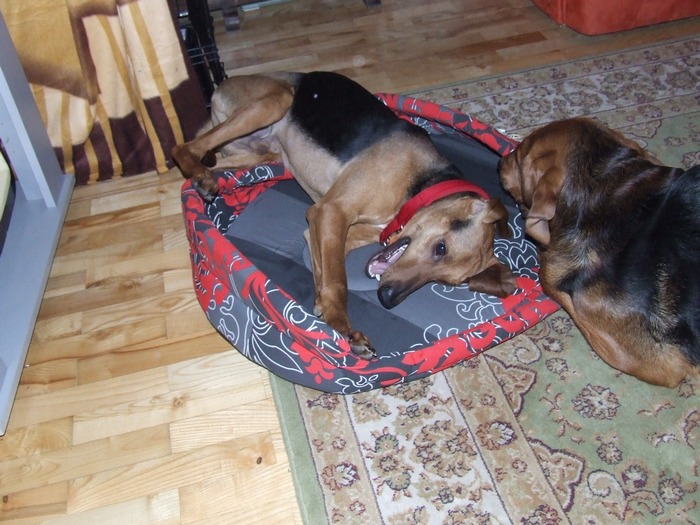 DSCF2215.JPG