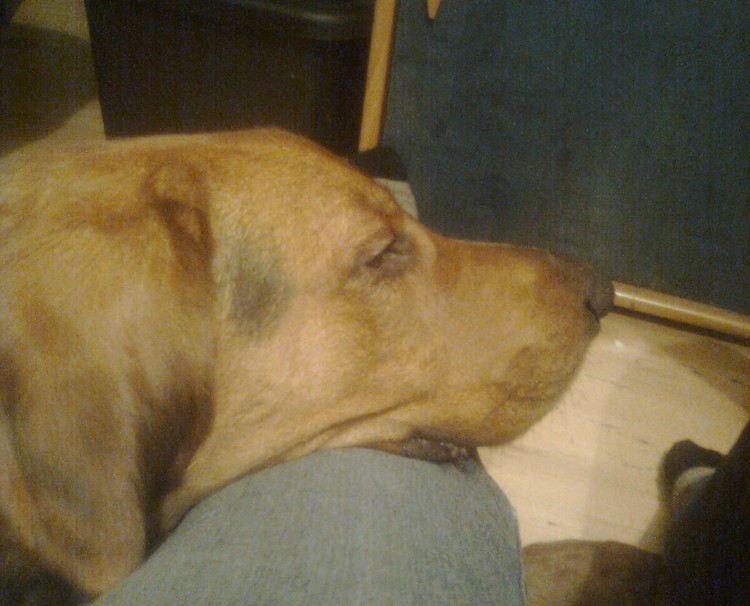 Foto0005.jpg
