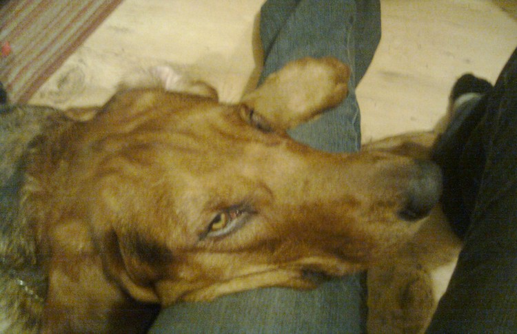 Foto0007.jpg