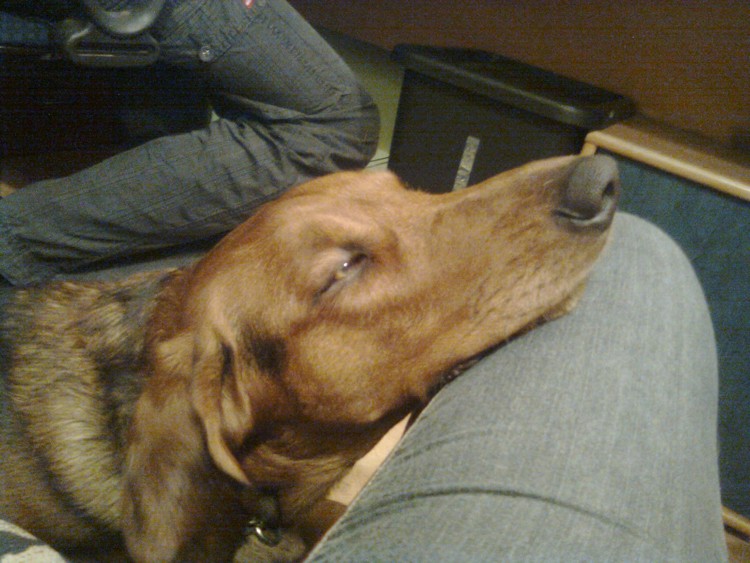 Foto0010.jpg