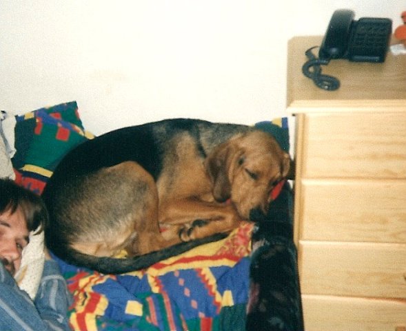 ScannedImage-10.jpg