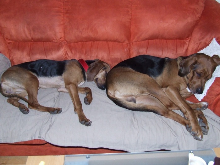 DSCF2222.JPG