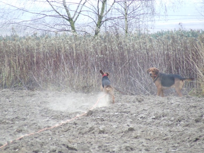 DSCF2226.JPG