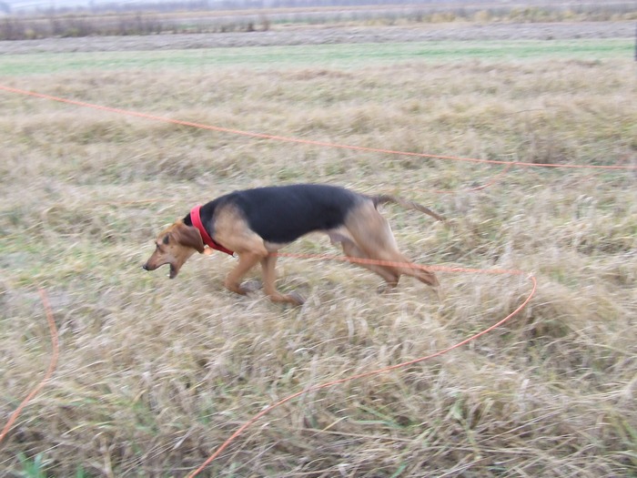 DSCF2233.JPG