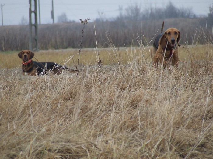 DSCF2239.JPG