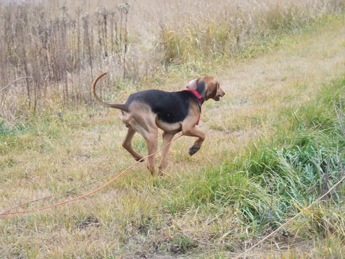 DSCF2243.JPG