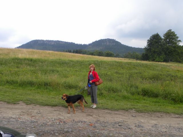 Obraz 800.jpg