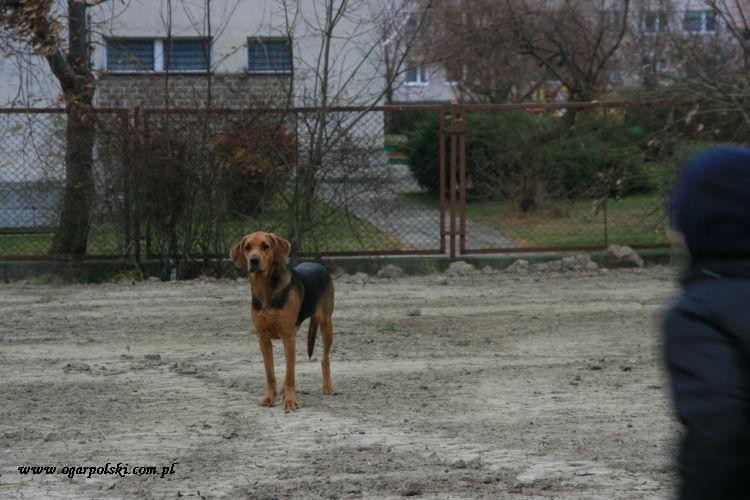 Rzepicha miała dzień na pozowanie tylko pogody nie ugadała.