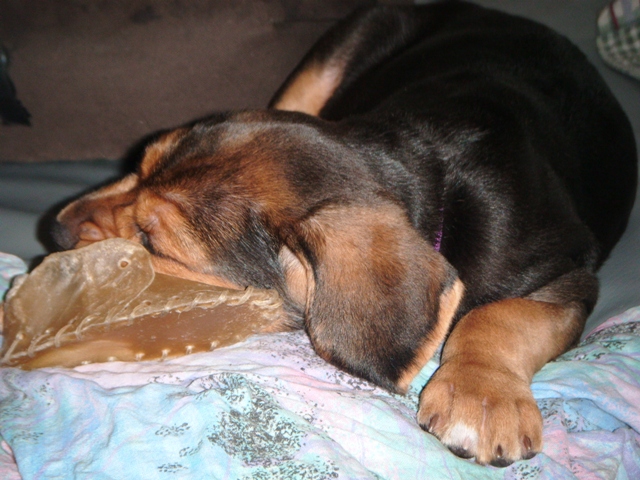 DSCF0154.JPG