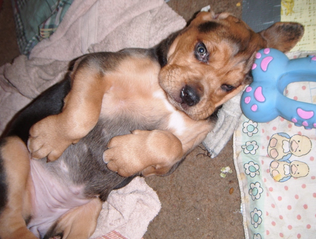 DSCF0130.JPG