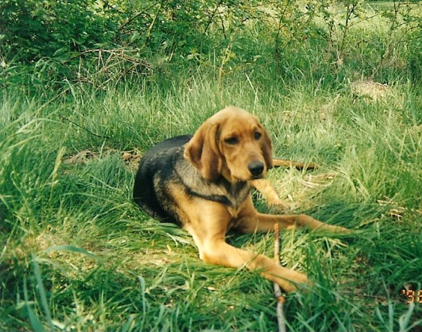 ScannedImage-12.jpg