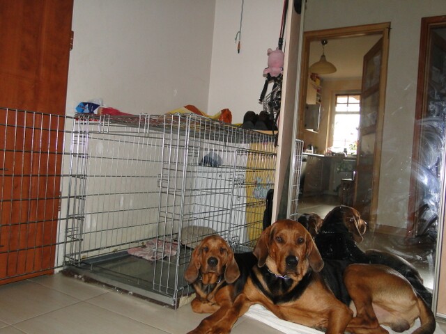 DSC04254.JPG