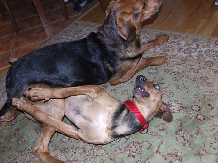 DSCF2287.JPG