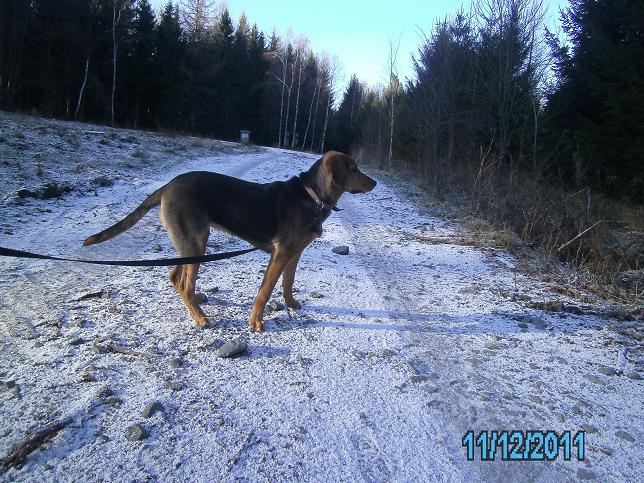 PICT0093m.JPG