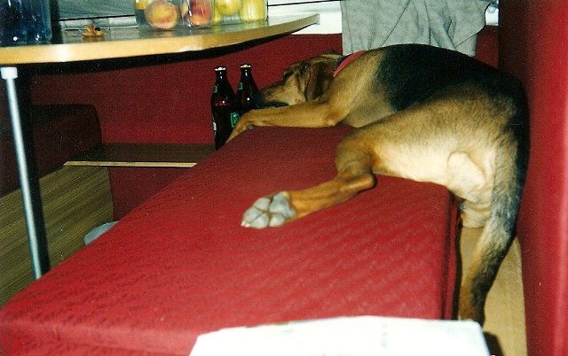 ScannedImage-14.jpg